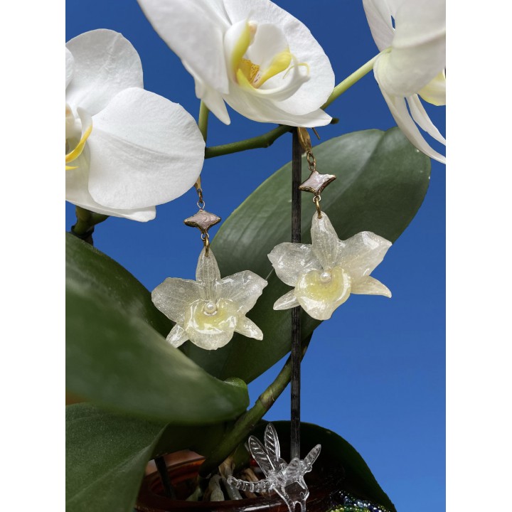 Bamboo Orchid Earrings in Resin | MomaFlora
