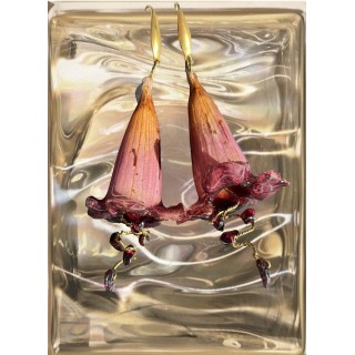 𝐺𝑎𝑟𝑛𝑒𝑡 𝐶𝑜𝑚𝑒𝑡 - Real Trumpet Flower turned into earrings
