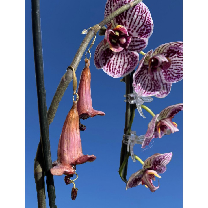 𝐺𝑎𝑟𝑛𝑒𝑡 𝐶𝑜𝑚𝑒𝑡