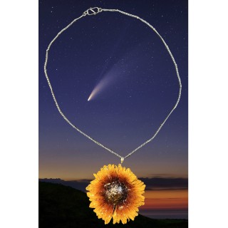 𝑃ℎ𝑜𝑒𝑛𝑖𝑥 𝑆𝑡𝑎𝑟 - Necklace with Flower in Resin