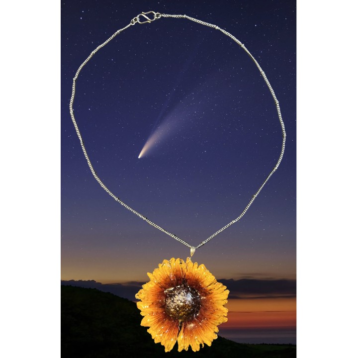 𝑃ℎ𝑜𝑒𝑛𝑖𝑥 𝑆𝑡𝑎𝑟 - Necklace with Flower in Resin