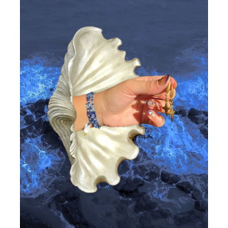 𝑺𝒕𝒂𝒓 𝑾𝒉𝒊𝒔𝒑𝒆𝒓