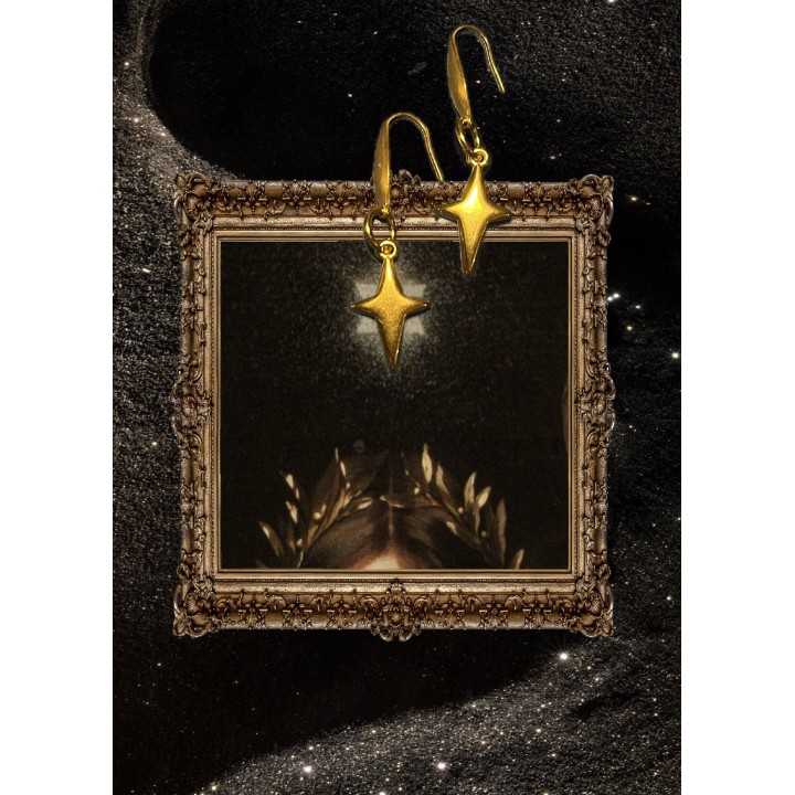 𝑺𝒕𝒂𝒓 𝑾𝒉𝒊𝒔𝒑𝒆𝒓 - Star Earrings